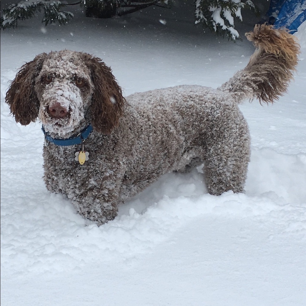 Meet your Posher, Christopher